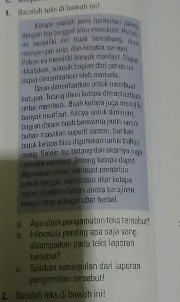 C. norpone 1. Bacalah teks di bawah ini! Kelapa adalah jenis tumbuhan paler dengan biji tunggal atau monokotil. Pohon ini memiliki ciri tidak bercabang,