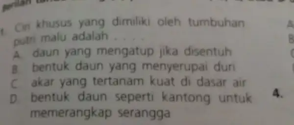 . Cin khusus yang dimiliki i oleh tumbuhan putri malu adalah __ A. daun yang mengatup jika disentuh B. bentuk daun yang menyerup ai