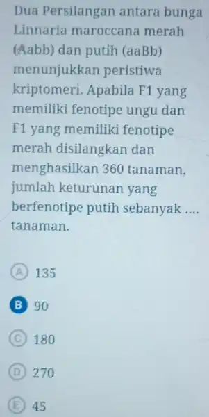 Dua Persilangan antara bunga Linnaria maroccana merah (Aabb) dan putih (aaBb) menunjukkan peristiwa kriptomeri Apabila F1 yang memiliki fenotipe ungu dan F1 yang memiliki