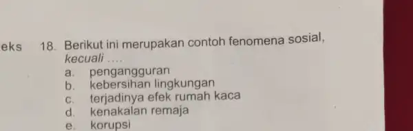 eks 18. Berikut ini merupakan contoh fenomena sosial, kecuali __ a. pengangguran b. kebersihan lingkungan c. terjadinya efek rumah kaca d remaja e. korupsi