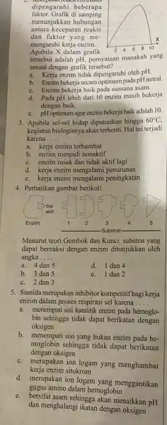 faktor. Grafik di samping dipengaruhi beberapa menunjukkan hubungan antara kecepatan reaksi dan faktor yang me- mengaruhi kerja enzim. x Apabila X dalam grafik 2