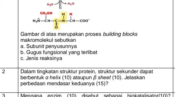 Gambar di atas merupakar proses building blocks makromolekul sebutkan a. Subunit penyusunnya b. Gugus fungsional yang terlibat c. Jenis reaksinya Dalam tingkatan struktur protein