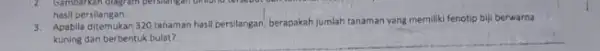 hasil persilangan. 3. Apabila ditemukan 320 tahaman hasil persilangan, berapakah jumlah tanaman yang memiliki fenotip biji berwarna kuning dan berbentuk bulat?