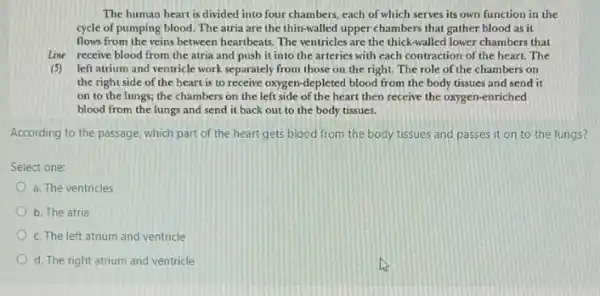 The human heart is divided into four chambers each of which serves its own function in the cycle of pumping blood The atria are