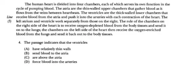 The human heart is divided into four chambers each of which serves its own function in the cycle of pumping blood The atria are