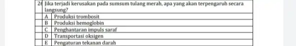 I lika terjadi kerusakan pada sumsum tulang merah, apa yang akan terpengaruh secara langsung? A Produksi trombosit B Produksi hemoglobin C Penghantaran impuls saraf