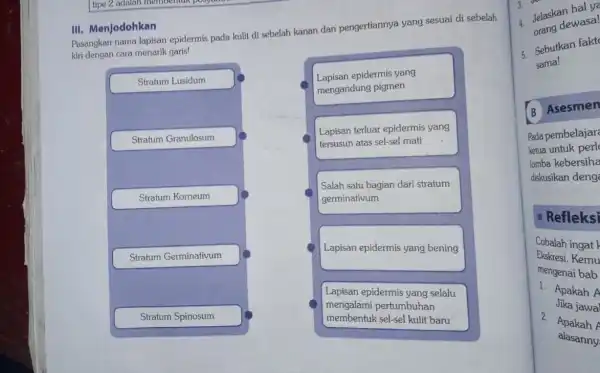 III. Menjodohkan Pasangkan nama lapisan epidermis pada kulit di sebelah kanan dan pengertiannya yang sesuai di sebelah kiri dengan cara menarik garis! Stratum Lusidum