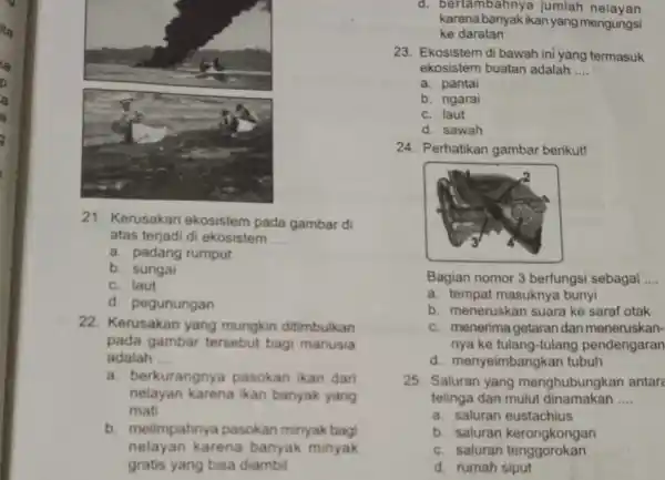 ita 21. Kerusakan ekosistem pada gambar di atas terjadi di ekosistem __ a. padang rumput b. sungai c. laut d. pegunungan 22. Kerusakan yang