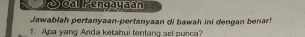 Jawablah pertanyaan-pertanyaan di bawah ini dengan benar! 1. Apa yang Anda ketahui tentang sel punca?