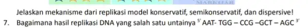 Jelaskan mekanisme dari replikasi model konservatif semikonservatif, dan dispersive! 7. Bagaimana hasil replikasi DNA yang salah satu untainya {}^5AAT-TGG-CCG-GCT-AGC^3