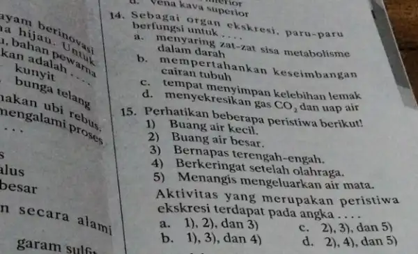 kan adalah __ 1. bahan. U ntu} kunyit engalami prose __ alus besar n secara alami garam sulfit Sebena kava superior merior berfungsi organ