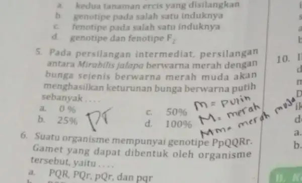 a. kedua tanaman ercis yang disilangkan b. genotipe pada salah satu induknya c. fenotipe pada salah satu induknya d. genotipe dan fenotipe F_(2) 5.