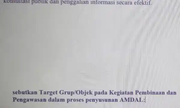 Konsultasi publik dan penggalian informasi secara efektif. sebutkan Target Grup/Objek pada Kegiatan Pembinaan dan Pengawasan dalam proses penyusun an AMDAL: