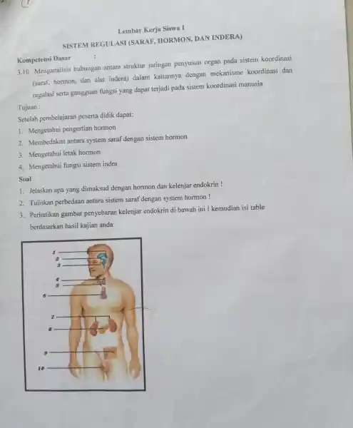 Lembar Kerja Siswa I SISTEM REGULASI (SARAF HORMON . DAN INDERA) Kompetensi Dasar 3.10 Menganalisis hubungan antara struktur jaringan penyusun organ pada sistem koordinasi