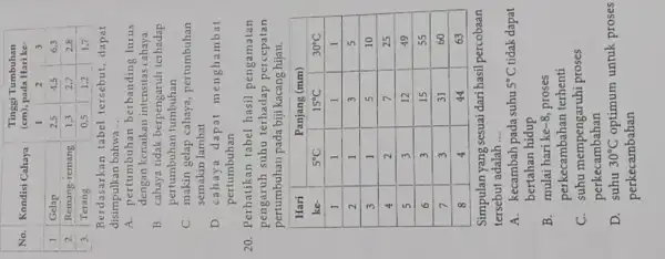 No. & Kondisi Cahaya & multicolumn(3)(|c|){ Tinggi Tumbuhan (mathrm(cm)) , pada Hari ke- 1 1 & Gelap & 2,5 & 4,5 & 6,3 2.