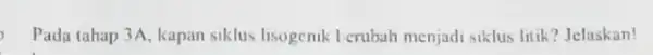 Pada tahap 3A, kapan siklus lisogenik Lerubah menjadi siklus litik ? Jelaskan!