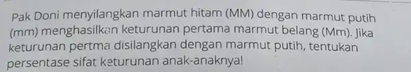 Pak Doni menyilangkan marmut hitam (MM) dengan marmut putih (mm)menghasilkan keturunan pertama marmut belang (Mm). Jika keturunan pertma disilangkan dengan marmut putih, tentukan persentase