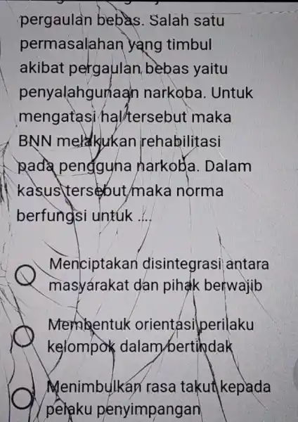 pergaulan bebas. Salah satu permasalahai 7 yang timbul akibat pergaulan bebas yaitu penyalahgunaa n narkoba . Untuk mengatas si/hal/tersebut maka BNN merklukan rehabilitasi pada