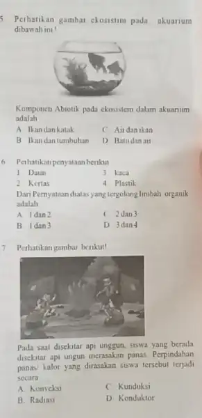 Perhatikan gambar ckosistim pada akuarium dibawah ini! Komponen Abiotik pada ekosistem dalam akuarium adalah __ A Ikandankatak C. Aildan ikan B Ikandantumbuhan D Batudanail