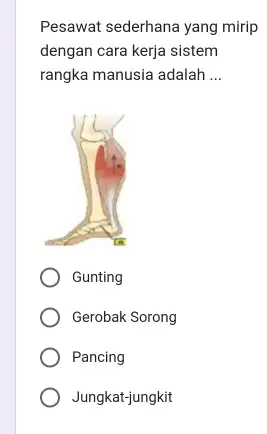 Pesawat sederhana yang mirip dengan cara kerja sistem rangka manusia adalah __ Gunting Gerobak Sorong Pancing Jungkat-jungkit