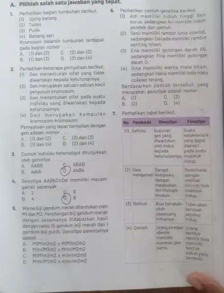 A. Pilihlah salah satu jawaban yang tepat. 1. Perhatikan bagian tumbuhan berikut. (1) Ujung batang (2) Tunas (3) Putik (4) Benang sari Kromosom kelamin