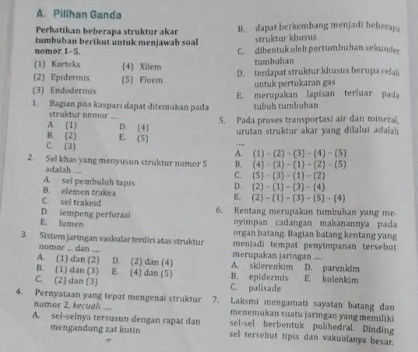 A. Pillhan Ganda Perhatikan beberapa struktur akar tumbuhan berikut untuk menjawab soal nomor 1-5 (1) Korteks (4) Xilem (2) Epidermis (5) Floem (3) Endodermis