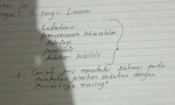 rhan Ser rugar! 5. fungsi Lisosom Endositoris pemncernaan Intraseluler. Autofagi fagoritosis Arfolisi Autolisis 2. Carilah Jenis reproduksi Aseksual pada fumpuhan jelaskan serfakan dengan confohnya