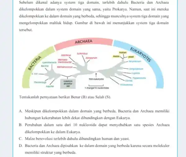 Sebelum dikenal adanya system tiga domain, terlebih dahulu Bacteria dan Archaea dikelompokkan dalam system domain yang sama, yaitu Prokarya . Namun, saat ini mereka