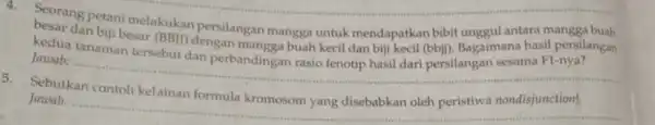 Seorang petani melakukan persilangan mangga untuk mendapatkan bibit unggul antara mangga buah kedua tanaman buah kecil dan biji kecil (bbij). Bagaimana hasil persilangan Jawab: