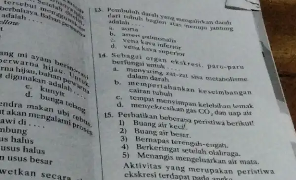 out setelah adalah. berbahaya __ ellow erwa ang mi ayam rna t digunakahan __ C. kunyit ma bunga telang endra takan mengalami proses awi