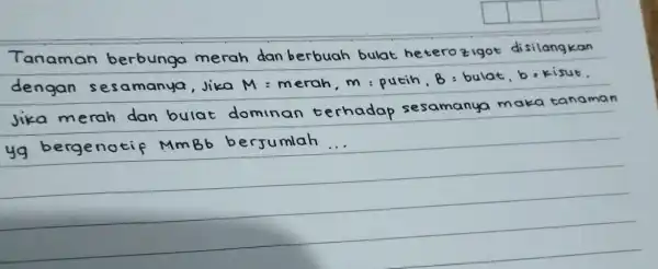 Tanaman berbunga merah dan berbuah bulat heterozigot disilangkan dengan sesamanya, jika M= merah, m : putih, B : bulat, b : kisut. jika merah