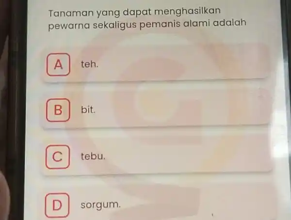 Tanaman yang dapat menghasilkan pewarna sekaligus pemanis alami adalah A teh. A B bit. B C tebu. D sorgum.