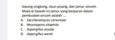 tepung singkong, daun pisang dan jamur oncom. Maka di bawah ini jamur yang berperan dalam pembuatan oncom adalah __ A. Socchoromyces cerevisiae B. Neurospora