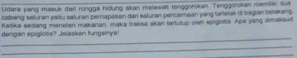 Udara yang masuk dari rongga hidung akan melewati tenggorokan Tenggorokan memilik dua cabang saluran yaitu saluran pernapasan dan saluran pencemaan yang terletak di bagian