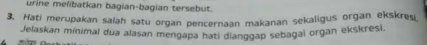 urine melibatkan bagian-bagian tersebut. 3. Hati merupakan salah satu organ pencernaan makanan sekaligus organ ekskresi. Jelaskan minimal dua alasan mengapa hati dianggap sebagai organ