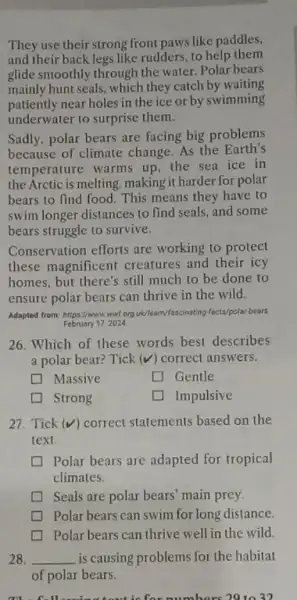 They use their strong front paws like paddles, and their back legs like rudders, to help them glide smoothly through the water. Polar bears