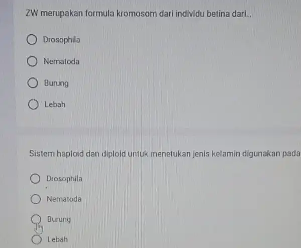 ZW merupakan formula kromosom dari individu betina dari. __ Drosophila Nemaloda Burung Lebah Sistem haploid dan diploid untuk menetukan jenis kelamin digunakan pada Drosophila