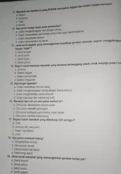 11. Manakah dari berikut ini yang BUKAN merupakan bagian dari sistem rangka manusia? a. Femur b. Humerus c. Tibia d. Alveoli 12. Apa peran