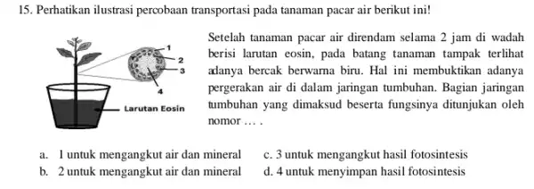 15. Perhatikan ilustrasi percobaan transportasi pada tanaman pacar air berikut ini! Setelah tanaman pacar air direndam selama 2 jam di wadah berisi larutan eosin,