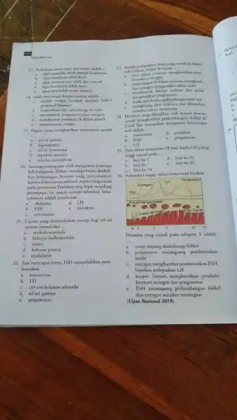 17. Perbedaan antara segi daya dan wujud adalah a. efot memiliki lebih banyak kemonomi b. agar bervariasi lebih kecil c. agar kemiskinan tidak dapat