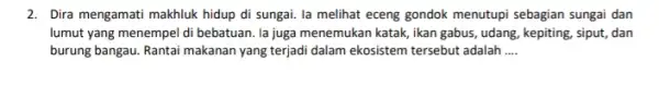 2. Dira mengamati makhluk hidup di sungai. la melihat eceng gondok menutupi sebagian sungai dan lumut yang menempel di bebatuan. la juga menemukan katak,