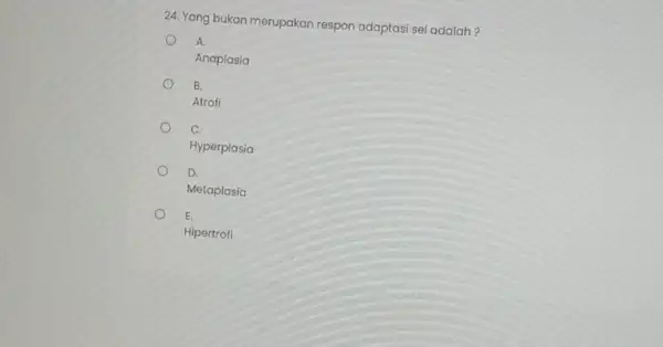 24. Yang bukan merupakan respon adaptasi sel adalah? A Anaplasia B. Atrofi C. Hyperplasia D. Metaplasia E. Hipertrofi