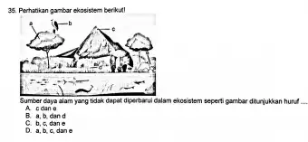 36. Perhatikan gambar ekosistem berikut! Sumber daya alam yang tidak dapat diperbanu dalam ekosistem seperti gambar oar diturjukkan huruf A. cdan o B. 8,b,