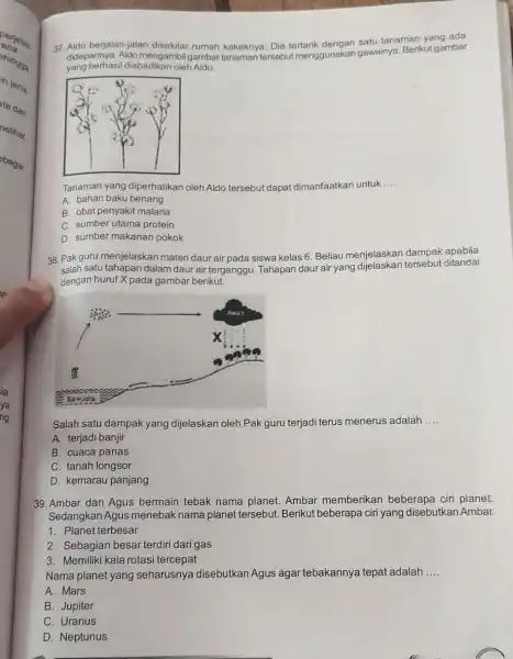 37. Aldo berjalan-jalar disekitar rumah kakeknya . Dia tertarik tanaman yang ada didepannya. Aldo mengambil gambar tanaman tersebut menggunakan gawainya Berikut gambar yang berhasil