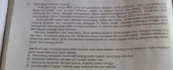 37. Perhatikar illustrasi berikut! Budi seorang memperbanyak siswa SMP yang sangat tertarik dengan dunia pertanian, ingin untuk membuat teh melati Setelah materi perkembangbiak C.