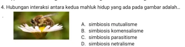 4. Hubungan interaksi antara kedua mahluk hidup yang ada pada gambar adalah __ A. simbiosis mutualisme B. simbiosis komensalisme C. simbiosis parasitisme D. simbiosis