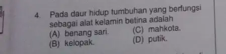 4. Pada daur hidup tumbuhan yang berfungsi sebagai alat kelamin betina adalah (A) benang sari. (C) mahkota. (B) kelopak. (D) putik.