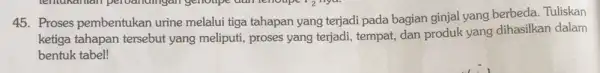 45. Proses pembentukan urine melalui tiga tahapan yang terjadi pada bagian ginjal yang berbeda Tuliskan ketiga tahapan tersebut yang meliputi, proses yang terjadi, tempat,