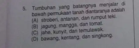 5. Tumbuhan yang batangnya menjalar di bawah permukaar tanah diantaranya adalah (A) stroberi, antanan, dan rumput teki. (B) jagung, mangga dan tomat. (C) jahe,