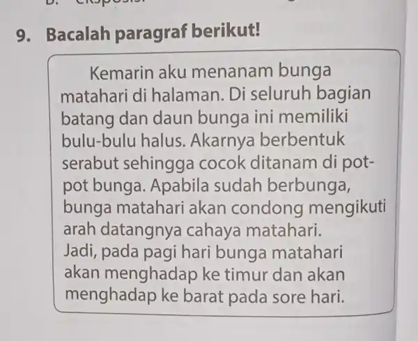 9. Bacalah paragraf berikut! Kemarin aku menanam bunga matahari di halaman. Di seluruh bagian batang dan daun bunga ini memiliki bulu-bull halus .Akarnya berbentuk